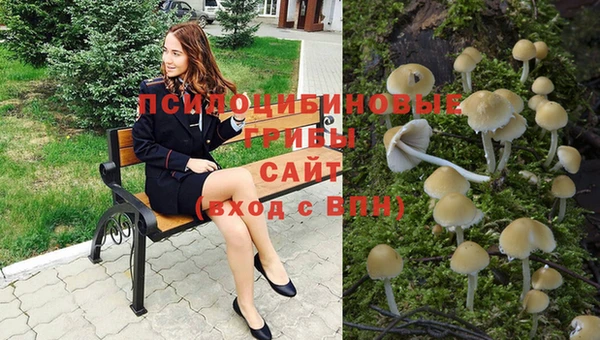 2c-b Магадан